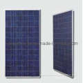 Poly Crystalline 275W 36V Solar Panel (SGP275W-36)